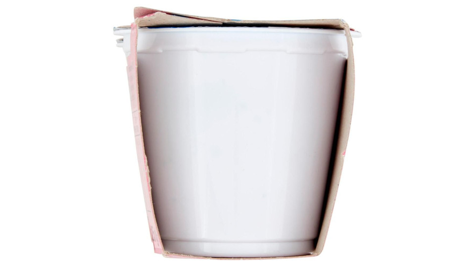 Plus Probiotico Mirtillo 2 X 125 G