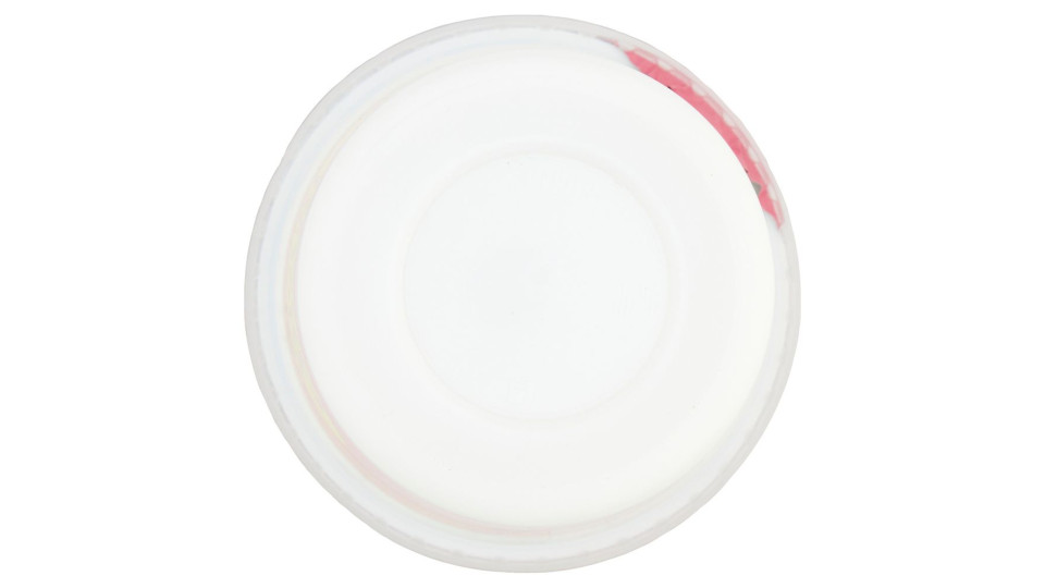 Yogurt Magro Bianco 500 G