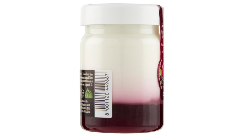 Yogurt Da Latte Di Montagna Bianco Naturale Con Mora E Melagrana 150 G