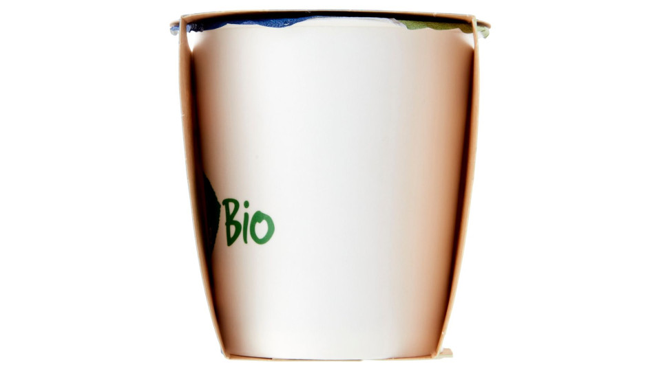 Yogurt Alla Fragola Biologico Intero 2 X 125 G
