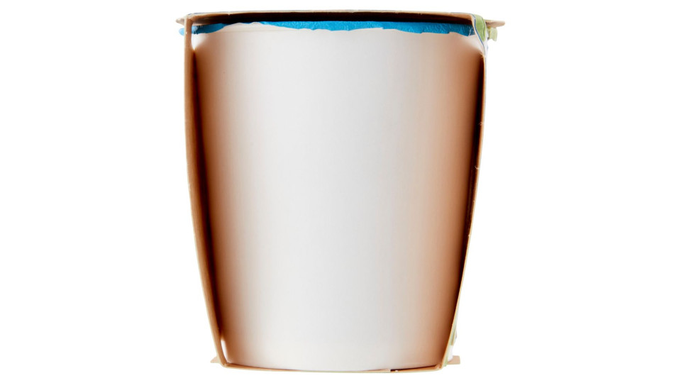 Yogurt Al Mirtillo Biologico Magro 2 X 125 G