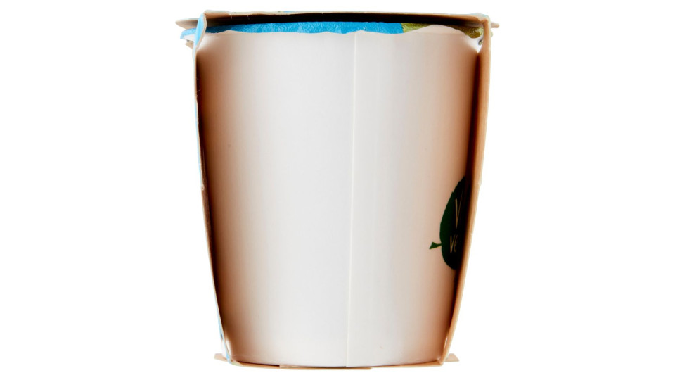 Yogurt Al Mirtillo Biologico Magro 2 X 125 G