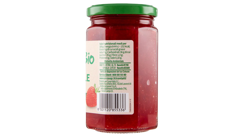 Fragole Biologico 330 G