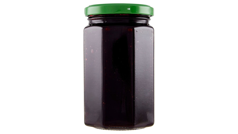 Mirtilli Biologico 330 G