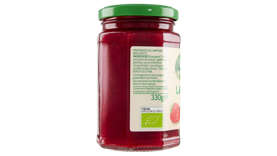 Lamponi Biologico 330 G