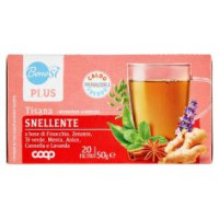 Plus Tisana Snellente Finocchio, Zenzero, Tè Verde, Menta, Anice, Cannella E Lavanda 20 Filtri 50 G