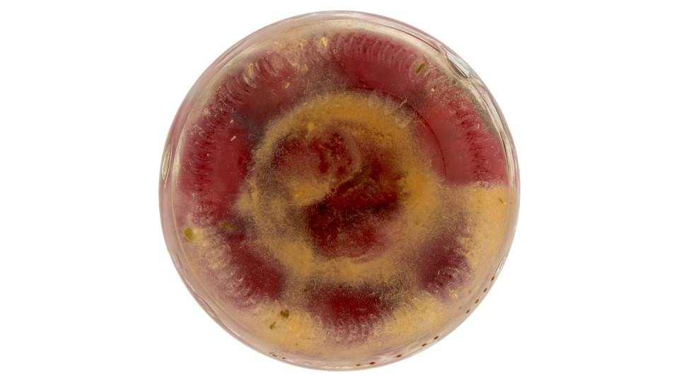 Neri Peperoncini Con Tonno 950 G