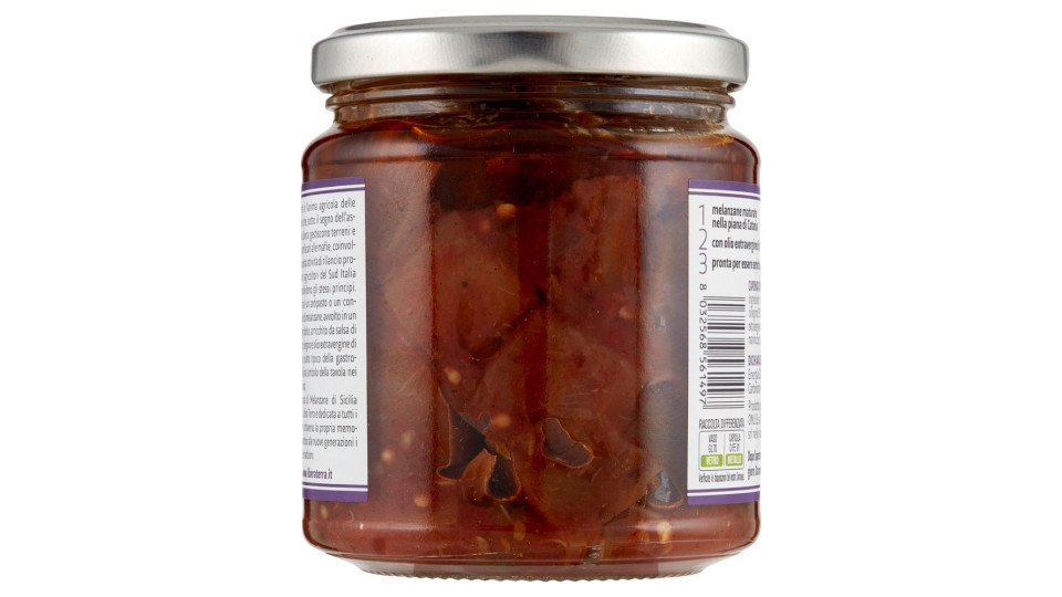 Libera Terra Il Giusto Gusto Di Sicilia Caponata Di Melanzane Di Sicilia Bio 270 G