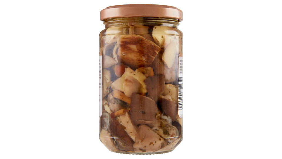 Fantasia Di Funghi Con Porcini Alla Boscaiola 280 G