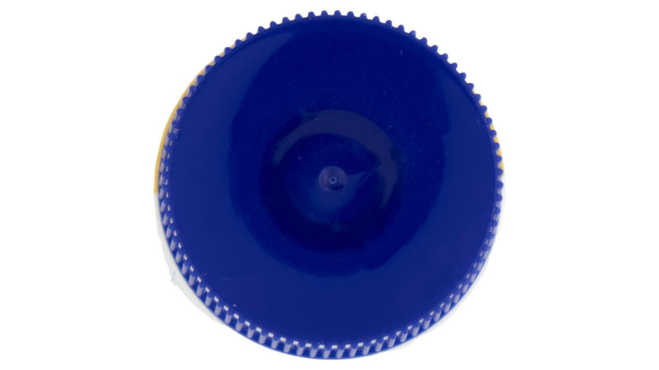 Maionese Classica 143 G