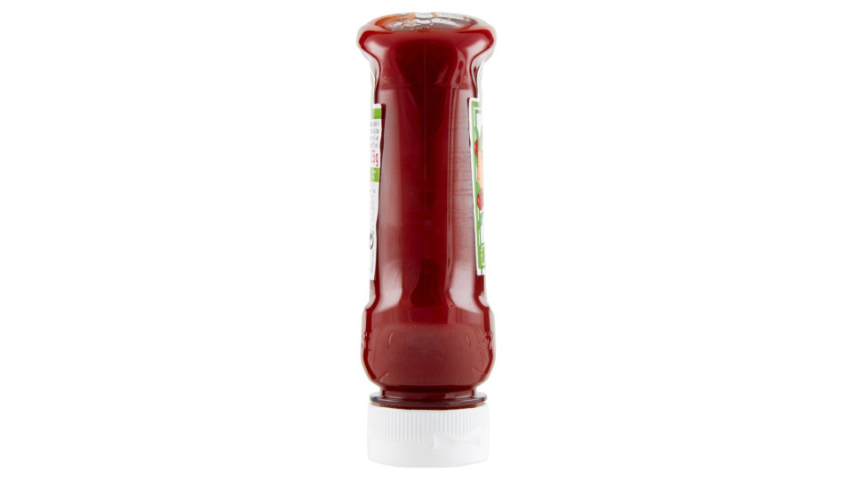 Heinz Tomato Ketchup Bio 255 G