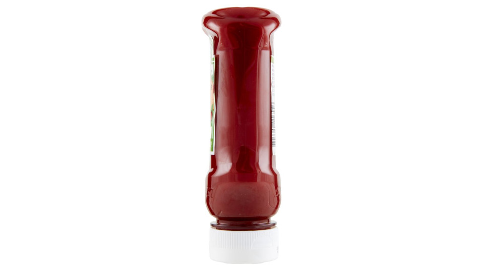 Heinz Tomato Ketchup Bio 255 G