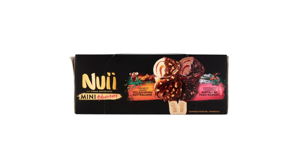 Nuii Mini Adventure Caramello Salato E Noci Macadamia E Cioccolato Fondente E Mirtilli 6 Gelati 253g