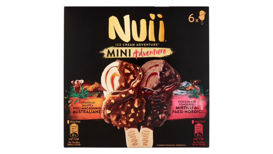 Nuii Mini Adventure Caramello Salato E Noci Macadamia E Cioccolato Fondente E Mirtilli 6 Gelati 253g