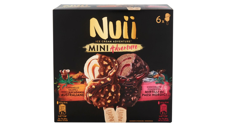 Nuii Mini Adventure Caramello Salato E Noci Macadamia E Cioccolato Fondente E Mirtilli 6 Gelati 253g