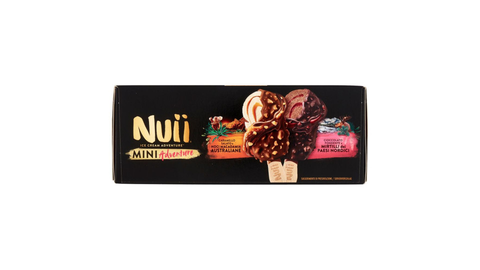 Nuii Mini Adventure Caramello Salato E Noci Macadamia E Cioccolato Fondente E Mirtilli 6 Gelati 253g