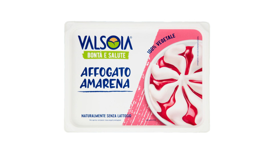 Valsoia Bontà E Salute Vaschetta Affogato Amarena 500 G