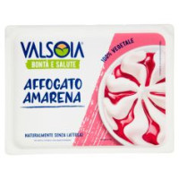 Valsoia Bontà E Salute Vaschetta Affogato Amarena 500 G