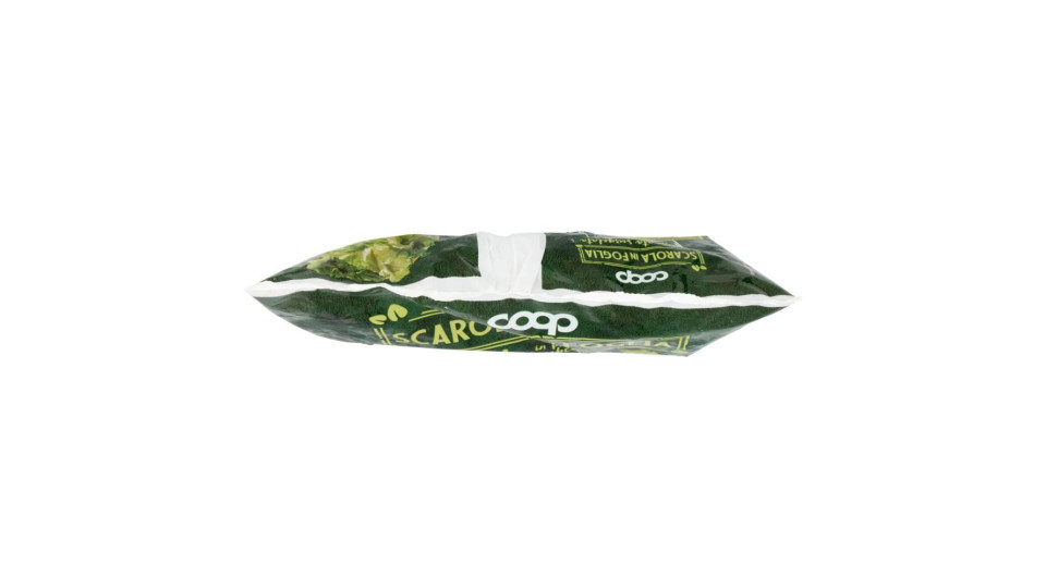Scarola In Foglia Surgelata In Pratici Cubetti 450 G