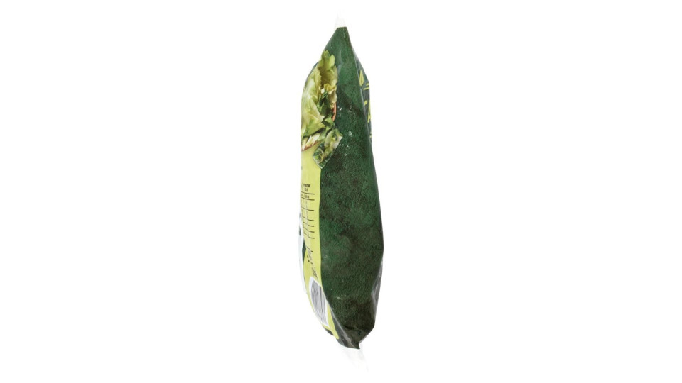 Scarola In Foglia Surgelata In Pratici Cubetti 450 G