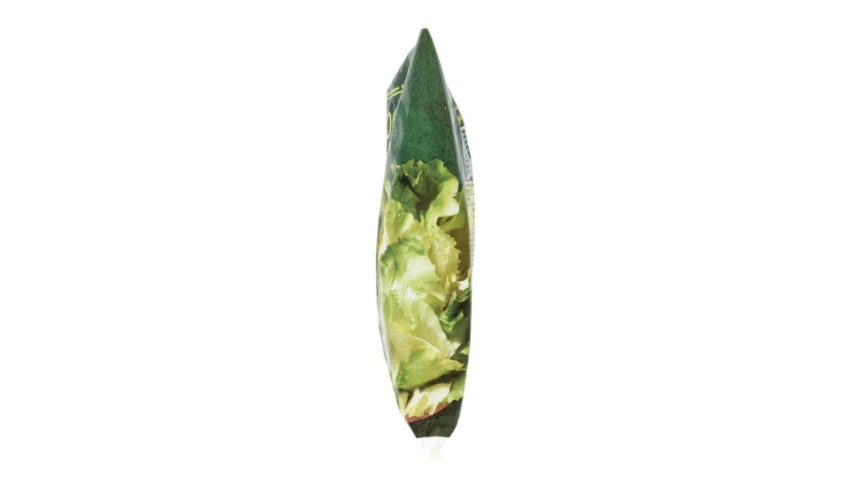 Scarola In Foglia Surgelata In Pratici Cubetti 450 G