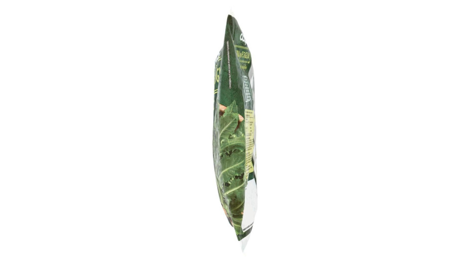 Cicoria In Foglia Surgelata In Pratici Cubetti 600 G
