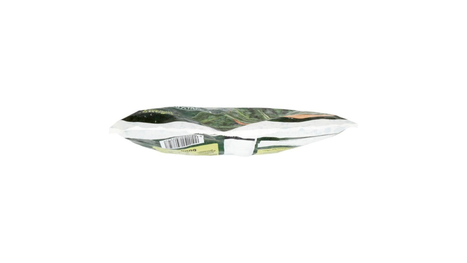 Cicoria In Foglia Surgelata In Pratici Cubetti 600 G