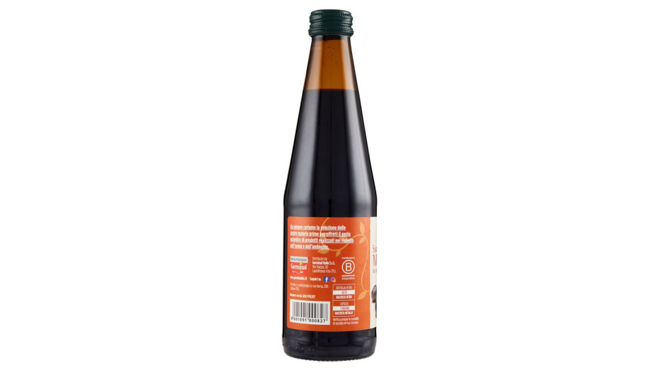 Germinal Succo Di Mirtilli Da Concentrato 330 Ml