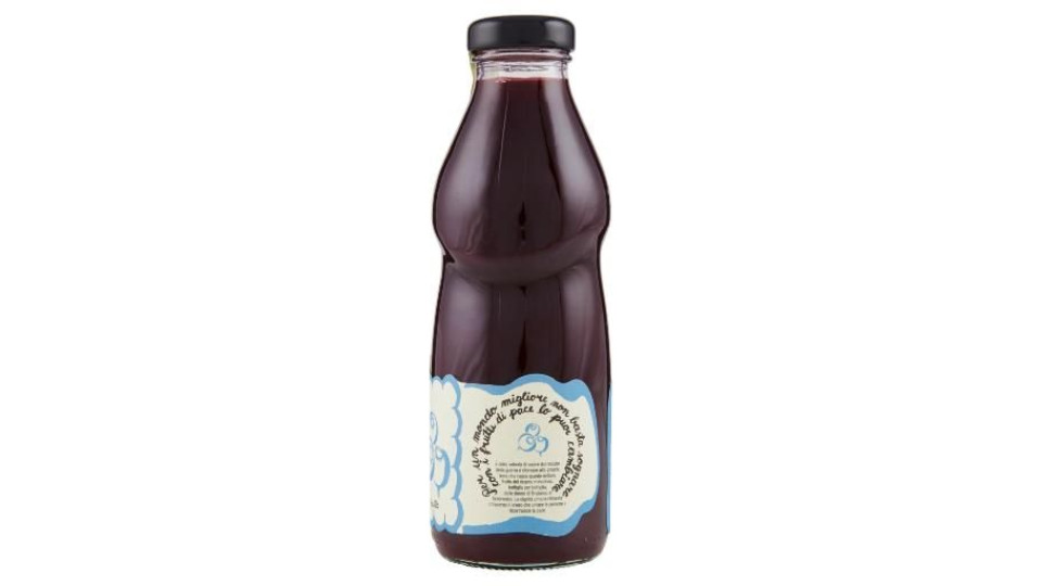 Frutti Di Pace Nettare Di Mirtillo Nero Selvatico 500 Ml