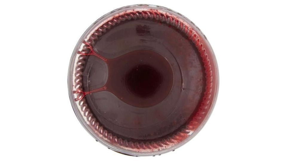Frutti Di Pace Nettare Di Mirtillo Nero Selvatico 500 Ml