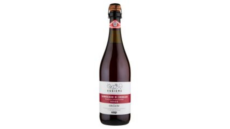 Lambrusco Di Sorbara Doc Secco 75 Cl