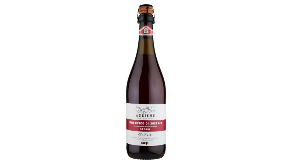 Lambrusco Di Sorbara Doc Secco 75 Cl