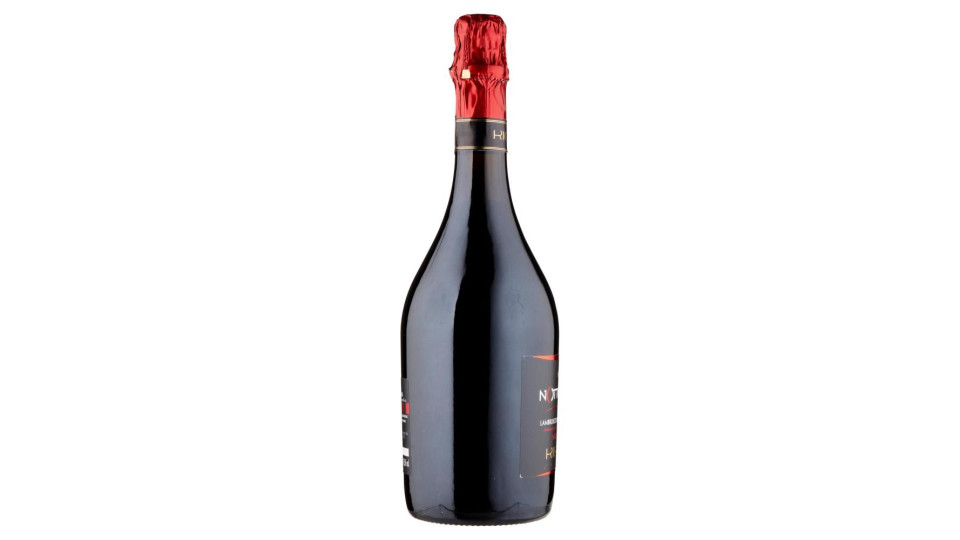 Righi Notturno Lambrusco Di Modena Doc Scuro 750 Ml