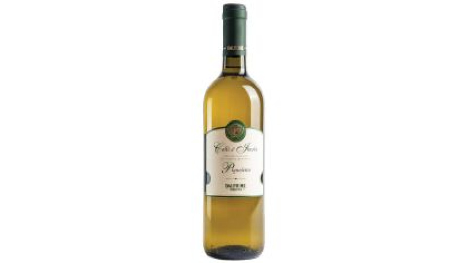 Pignoletto Dop Fermo