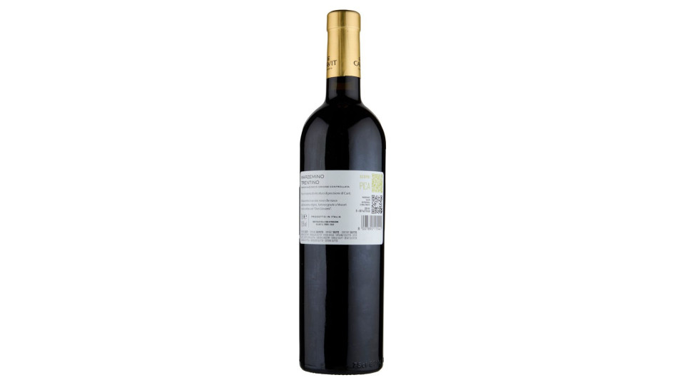 Cavit I Mastri Vernacoli Marzemino Trentino Doc 75 Cl
