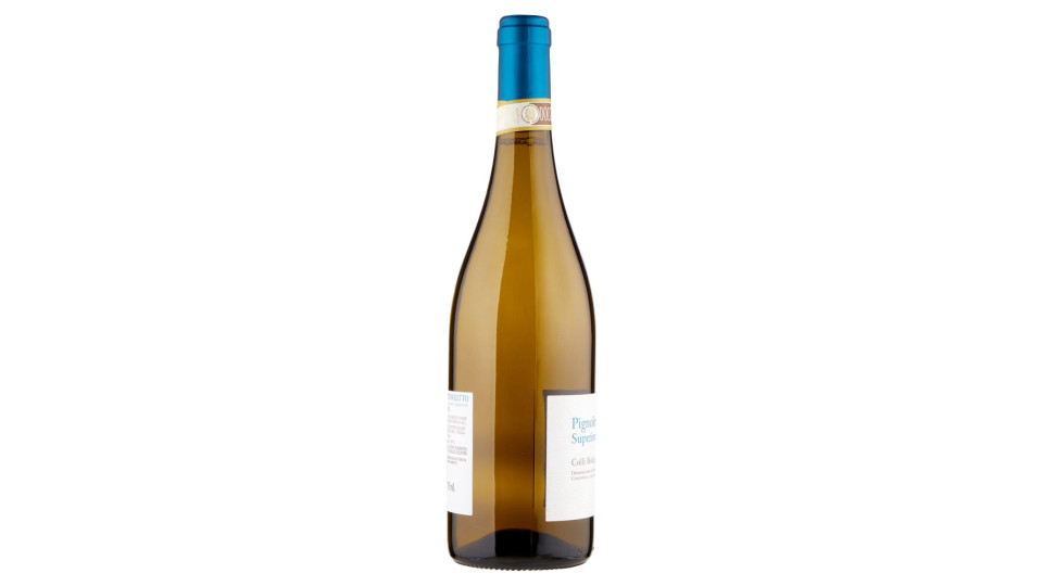 Tenuta Santa Croce Pignoletto Superiore Colli Bolognesi Docg 75 Cl