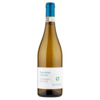 Tenuta Santa Croce Pignoletto Superiore Colli Bolognesi Docg 75 Cl