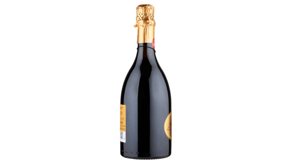 Il Baluardo Lambrusco Intenso Nero Modena Doc 75 Cl