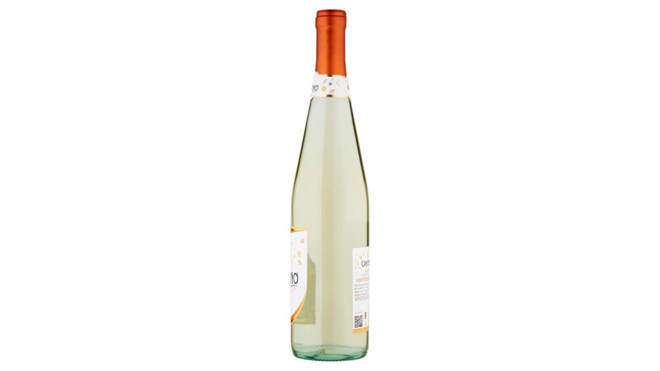 Riunite Canterino Frizzante Amabile Rubicone Igt 75 Cl