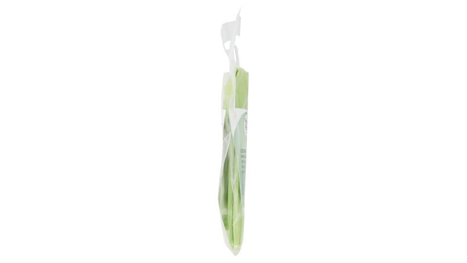 Perla Festa Compostable Cucchiaini Compostabili Verdi 8 Pz