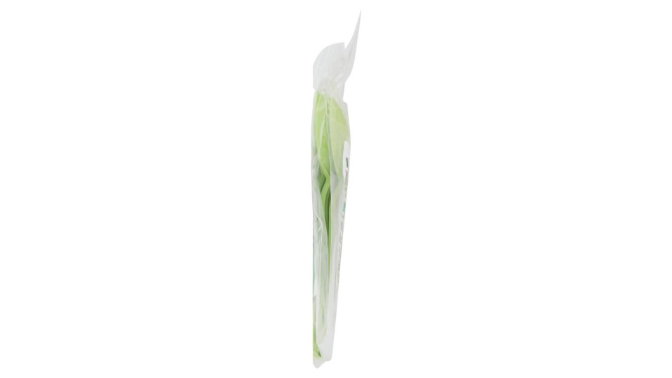 Perla Festa Compostable Cucchiaini Compostabili Verdi 8 Pz