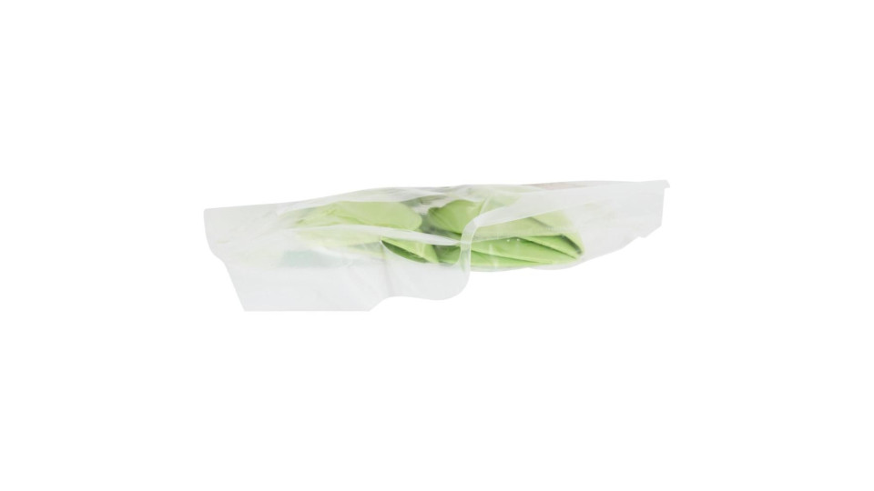 Perla Festa Compostable Cucchiaini Compostabili Verdi 8 Pz