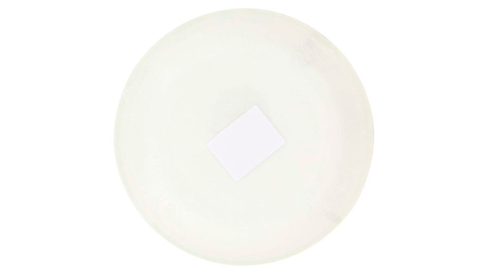 Piatti Piani Colorati In Cartoncino Ø 21 Cm Verdi 20 Pz