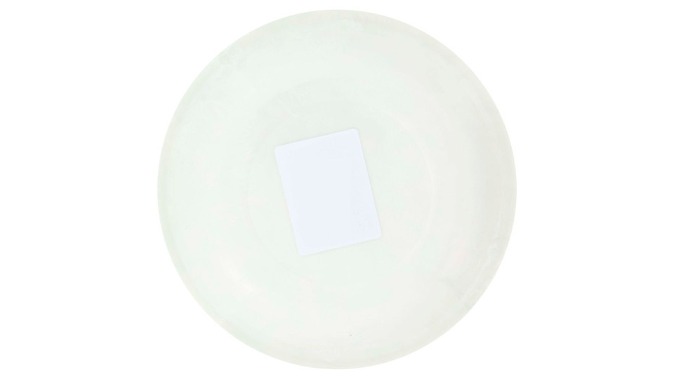 Piatti Dessert Colorati In Cartoncino Ø 17 Cm Verdi 20 Pz