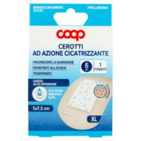 Cerotti Ad Azione Cicatrizzante 1 Formato 5 X 7,5 Cm Xl 6 Pz