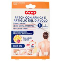 Patch Con Arnica E Artiglio Del Diavolo 1 Formato 9 X 14 Cm 6 Pz