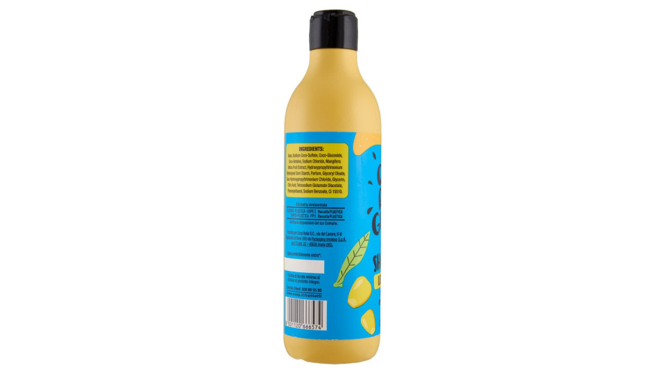 Shampoo Lisciante 300 Ml