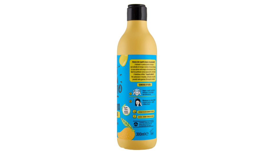 Shampoo Lisciante 300 Ml