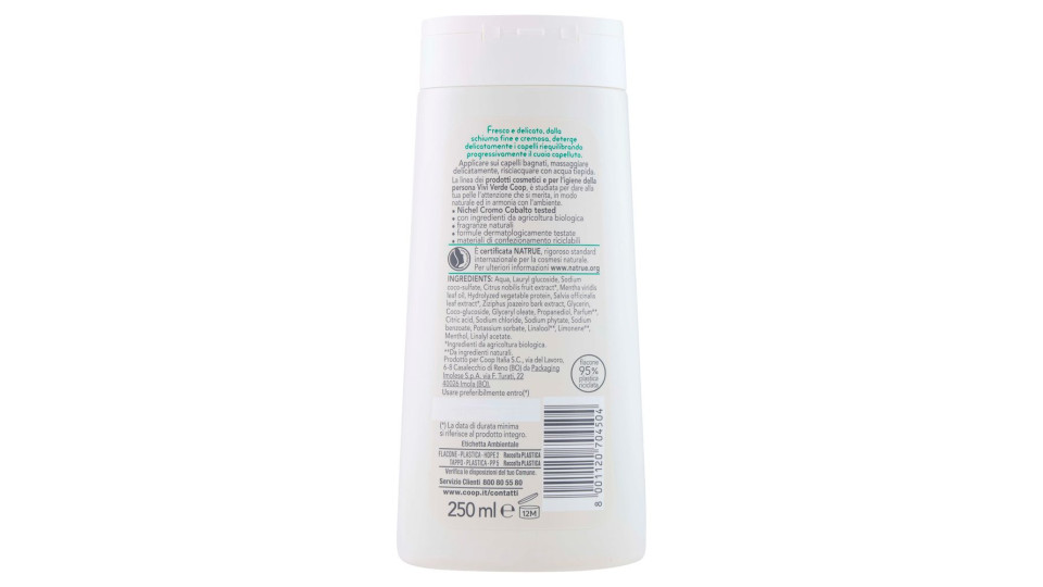 Shampoo Antiforfora Hair 250 Ml