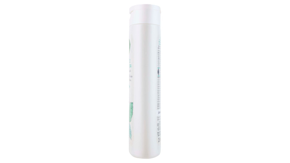Shampoo Antiforfora Hair 250 Ml